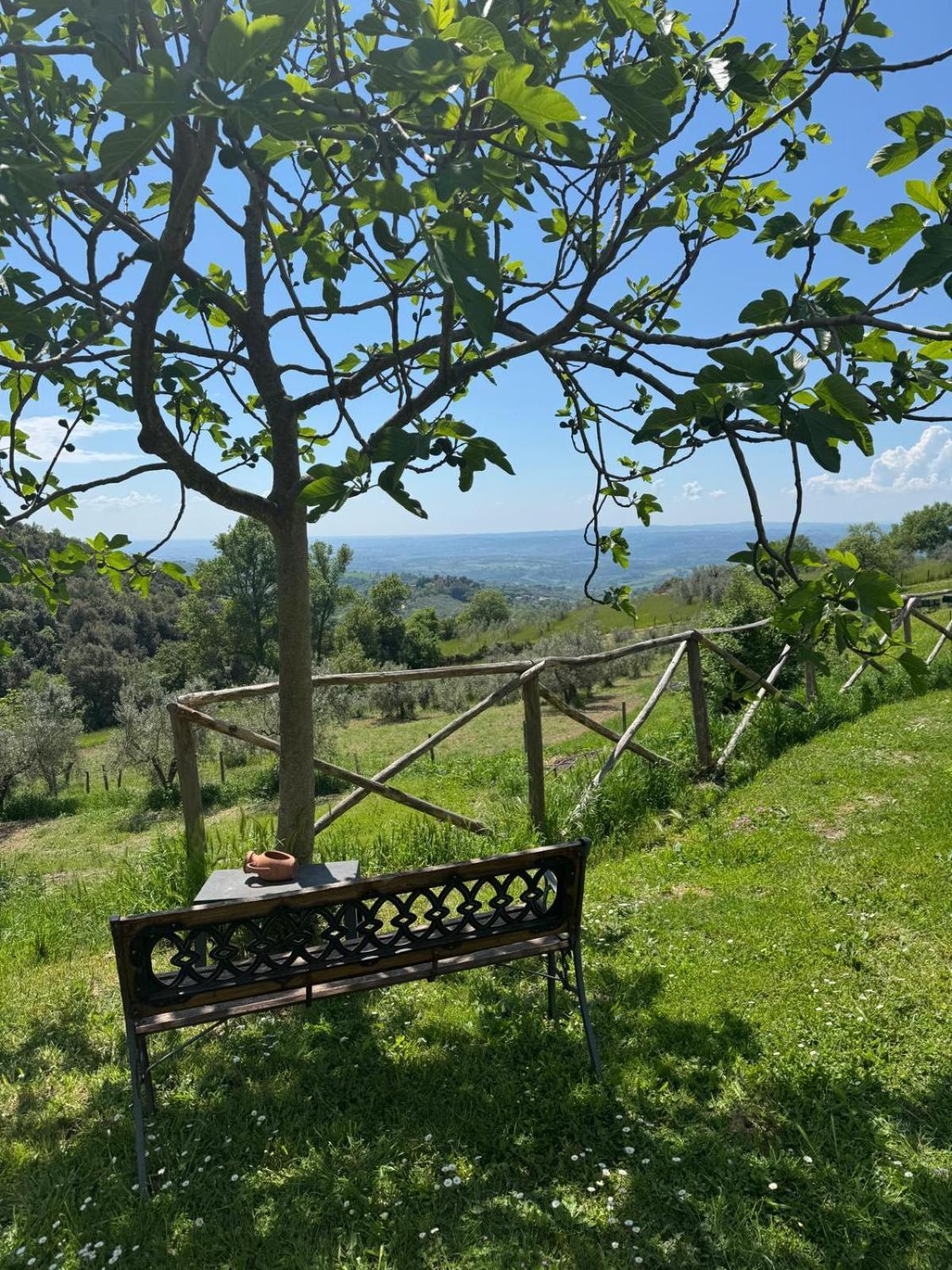 Poggio Mirteto Casa Franceschini 빌라 외부 사진